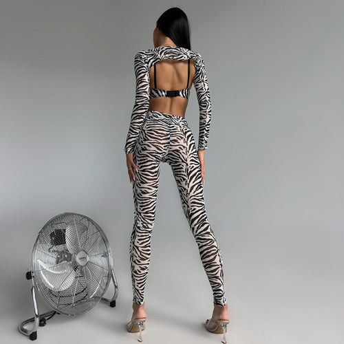 Zebra Print Sexy Sheer Four-Piece Set