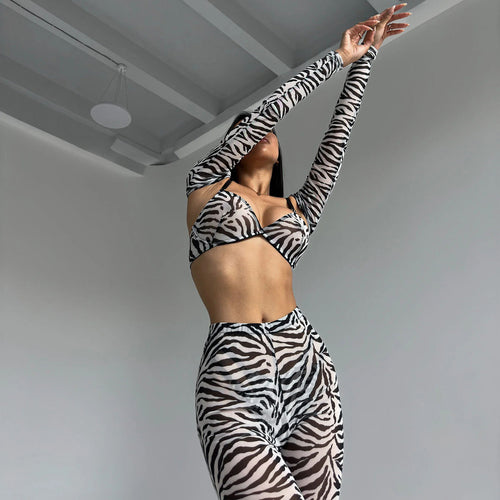 Zebra Print Sexy Sheer Four-Piece Set